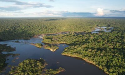 Prestação de Serviço de Conservação Ambiental no Brasil